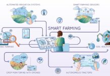 Cultivating the Future Through Sustainable and Smart Farming Transformation
